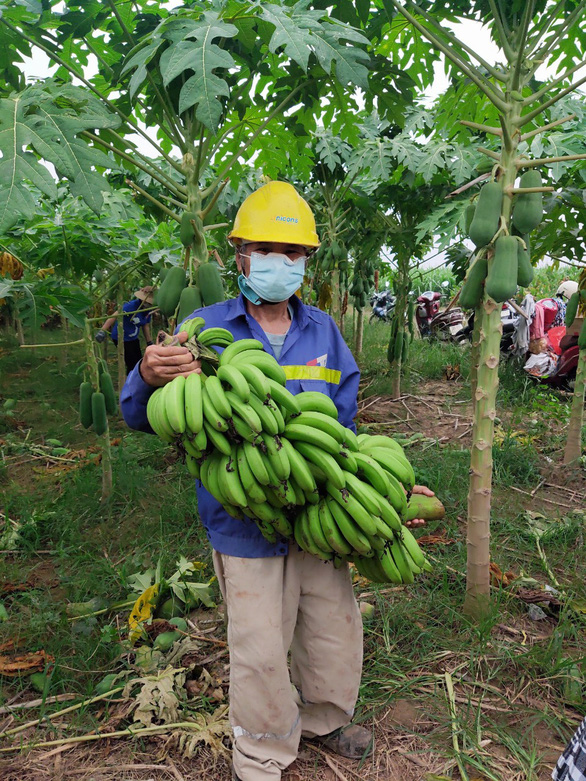 Nối tiếp Bắc Giang, nông sản từ Lào Cai, Vĩnh Phúc, Phú Thọ về tiếp sức thủ đô - Ảnh 2.