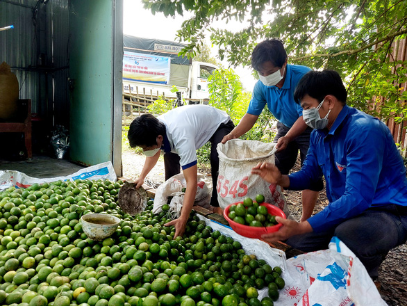 Nông dân vui vì được bạn trẻ Tây Đô mua hỗ trợ nông sản - Ảnh 3.