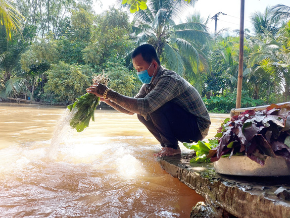 Bỏ tiền túi trồng vườn rau sạch tặng dân vùng dịch - Ảnh 6.