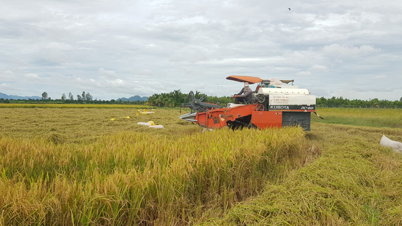 Bộ trưởng Lê Minh Hoan: Hợp tác, liên kết để đưa nông sản vượt qua lời nguyền - Ảnh 2.