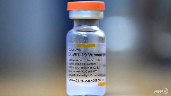 Singapore: Người dị ứng vắc xin mRNA có thể tiêm Sinovac - Ảnh 1. Singapore: Người dị ứng vắc xin mRNA có thể tiêm Sinovac - Ảnh 1.