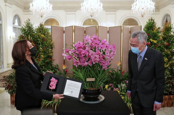 Singapore tặng phó tổng thống Mỹ chậu lan mang tên bà - Ảnh 1.
