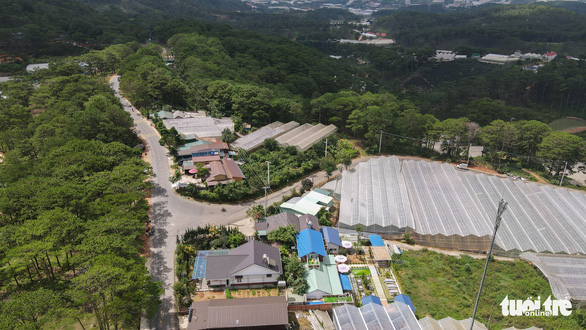 Lâm Đồng tháo dỡ 220ha nhà kính, nhà lưới lấn rừng, hoàn thành trong tháng 9-2021 - Ảnh 2. Lâm Đồng tháo dỡ 220ha nhà kính, nhà lưới lấn rừng, hoàn thành trong tháng 9-2021 - Ảnh 2.