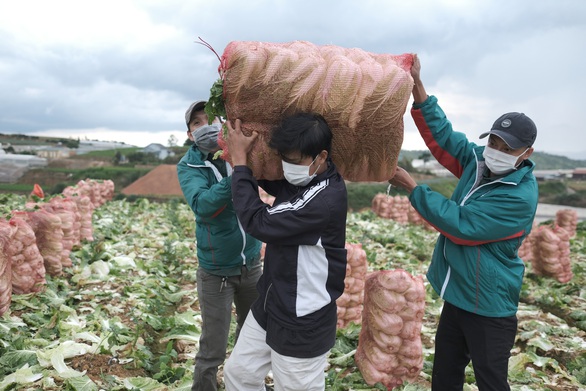 Rèn linh hoạt, tăng sáng tạo giữa đại dịch COVID-19 - Ảnh 3. Rèn linh hoạt, tăng sáng tạo giữa đại dịch COVID-19 - Ảnh 3.