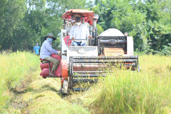 Bộ đội vác lúa, hội nông dân đi mua phân bón giúp dân TP.HCM - Ảnh 3.