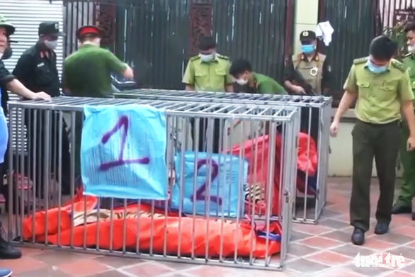 8/17 con hổ nuôi nhốt trong nhà dân Nghệ An được ‘giải cứu’ đã chết - Ảnh 2.