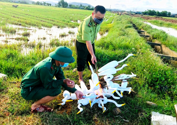 Ngăn chặn nạn săn bắt, trả lại bình yên cho đàn chim trời mùa di cư - Ảnh 2.