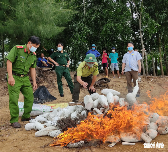 Ngăn chặn nạn săn bắt, trả lại bình yên cho đàn chim trời mùa di cư - Ảnh 3.