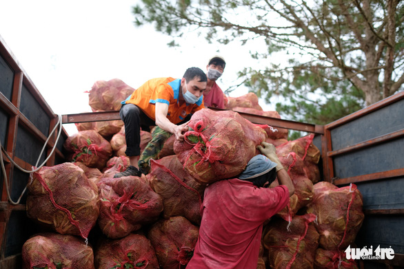 TP.HCM đã đón nhận hơn 5.500 tấn nông sản sạch Lâm Đồng gửi tặng - Ảnh 4.