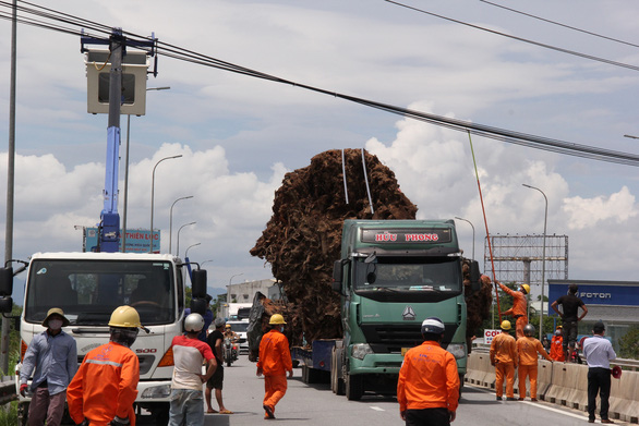 Cả tỉnh tìm cách cứu Ngài Đa - Ảnh 2.