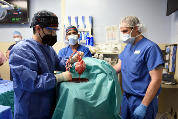 Bác sĩ bật mí hậu trường ca phẫu thuật ghép tim heo cho người đầu tiên trên thế giới - Ảnh 2.