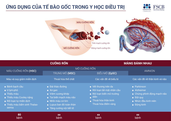 Cryoviva Vietnam hỗ trợ điều trị máu cuống rốn đến 300 triệu đồng - Ảnh 1.