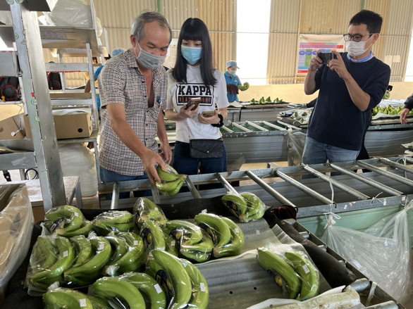 Trồng chuối nuôi heo, bầu Đức đặt kế hoạch lợi nhuận nghìn tỉ, trả hết nợ - Ảnh 1.