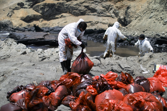 Tràn dầu do sóng thần Tonga gây ‘thảm họa sinh thái’ ở Peru - Ảnh 3.