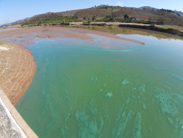 Sở Tài nguyên - môi trường Kon Tum: Nước đổi màu, bốc mùi ở hồ thủy điện Yaly là tảo nở hoa - Ảnh 1.