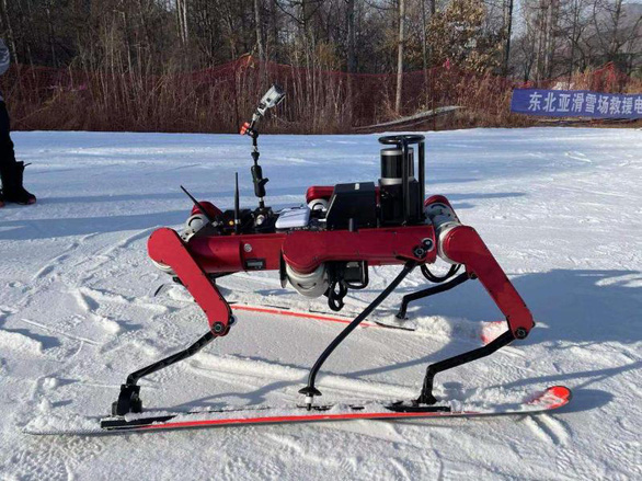 Robot trượt tuyết có thể tranh tài cùng các vận động viên - Ảnh 2.