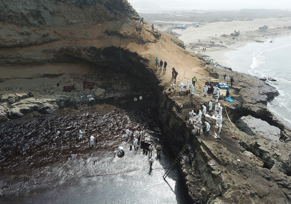 Peru giải cứu chim biển trong sự cố tràn dầu - Ảnh 3.