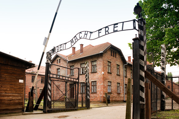 Đùa dại tại trại tử thần Auschwitz, nữ du khách bị bắt - Ảnh 1.