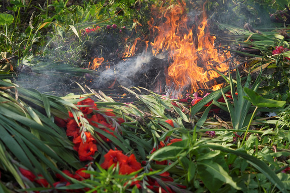 Hong Kong: Nông dân đốt bỏ hoa vì sức mua giảm do các biện pháp kiểm soát COVID-19 - Ảnh 2.