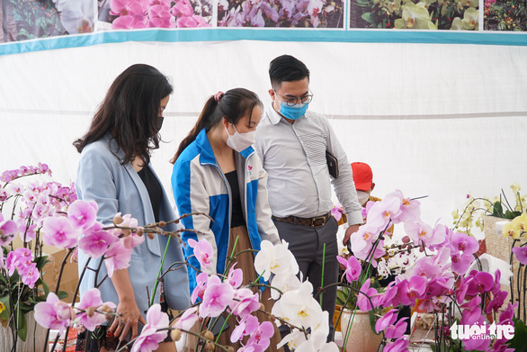 Hà Nội: lan hồ điệp ‘cháy hàng’ - Ảnh 3.