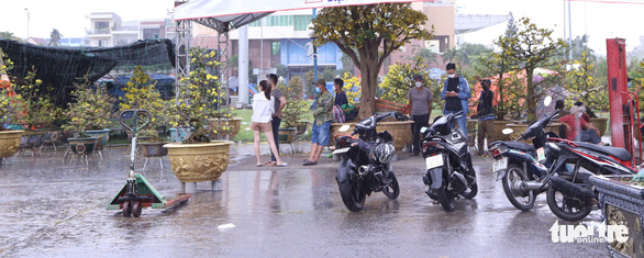 Chợ hoa Tết lớn nhất Đà Nẵng: Sức mua đã giảm 50%, lại còn mưa kiểu ni, căng quá - Ảnh 4.