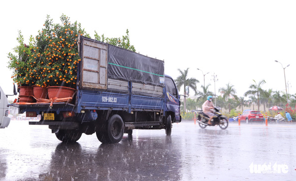 Chợ hoa Tết lớn nhất Đà Nẵng: Sức mua đã giảm 50%, lại còn mưa kiểu ni, căng quá - Ảnh 2.