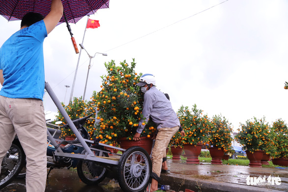 Chợ hoa Tết lớn nhất Đà Nẵng: Sức mua đã giảm 50%, lại còn mưa kiểu ni, căng quá - Ảnh 3.