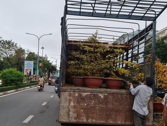 Quảng Ngãi chiều cuối năm: người bán mai méo mặt, cúc hết hàng chủ hoa phấn khởi - Ảnh 3.