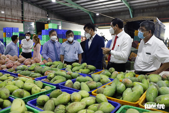 Đồng Nai xuất khẩu 95 tấn trái cây sấy dẻo sang các thị trường lớn - Ảnh 3.