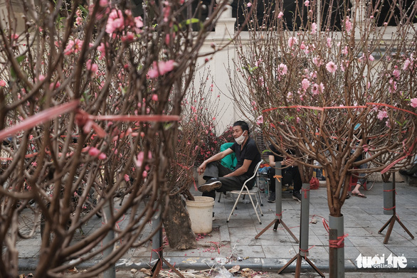 Hà Nội: Quận Hai Bà Trưng miễn tiền mặt bằng cho các hộ bán hoa, cây cảnh dịp Tết - Ảnh 1.