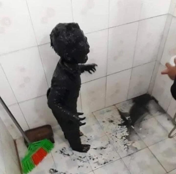 Ảnh vui 1-10: Chị gái Người Nhện mới được thuê làm giúp việc đã bị... đuổi - Ảnh 5. Ảnh vui 1-10: Chị gái Người Nhện mới được thuê làm giúp việc đã bị... đuổi - Ảnh 5.