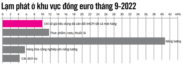 Lạm phát kỷ lục ở khu vực các nước sử dụng đồng tiền chung euro - Ảnh 2.