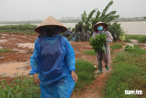 Miền Trung mưa lớn trong hai ngày tới, lo với lũ quét - Ảnh 1.