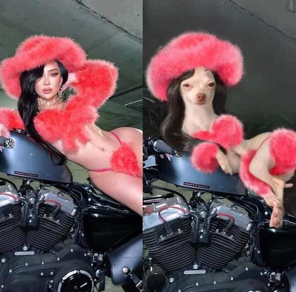 Cô chó cosplay loạt sao nổi tiếng - Ảnh 3. Cô chó cosplay loạt sao nổi tiếng - Ảnh 3.