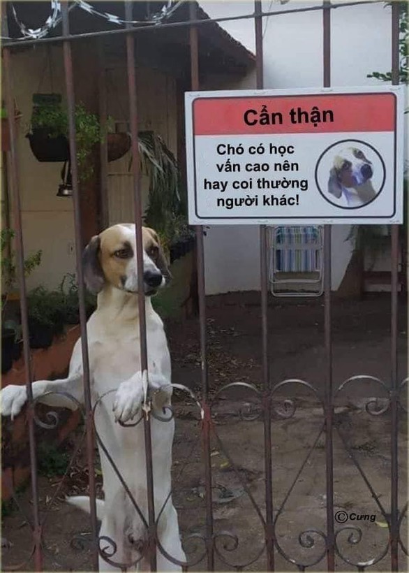 Ảnh vui 19-10: Xe hộ nghèo tà tà kiếm cơm - Ảnh 2. Ảnh vui 19-10: Xe hộ nghèo tà tà kiếm cơm - Ảnh 2.
