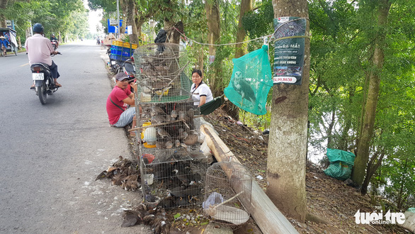 Báo động tình trạng mua bán chim, cò mùa nước nổi - Ảnh 3.