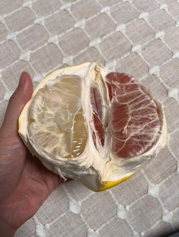 Ảnh vui 31-10: Ăn phở thì nhớ cho tương ớt vô mới ngon, anh trai! - Ảnh 5. Ảnh vui 31-10: Ăn phở thì nhớ cho tương ớt vô mới ngon, anh trai! - Ảnh 5.