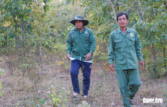 Tổ bảo vệ rừng cộng đồng xã Phước Hà được nhận tiền hỗ trợ bảo vệ rừng - Ảnh 1.
