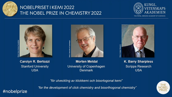 Nobel Hóa học 2022 được trao cho ba nhà khoa học gắn kết các phân tử lại với nhau’ - Ảnh 1.