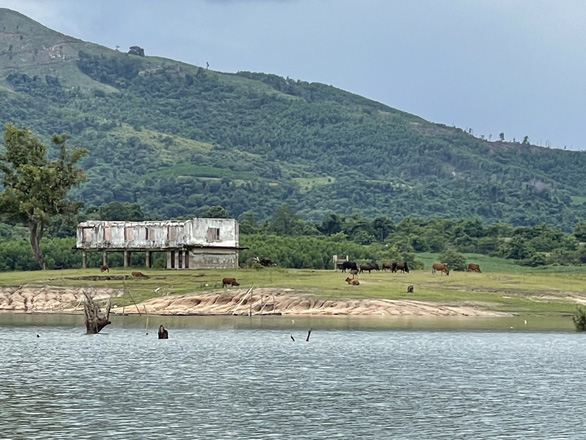 Ông Y Luyện Niê Kđăm - nguyên bí thư Tỉnh ủy Đắk Lắk: Nếu nhà nước yêu cầu, tôi sẽ dời đi - Ảnh 1.