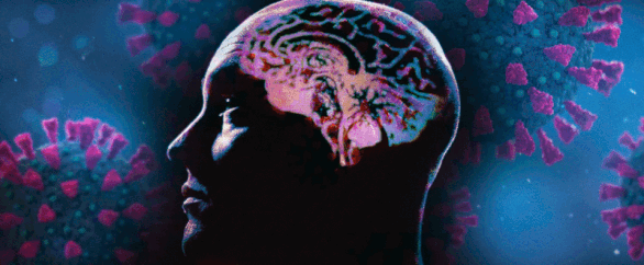 Bác sĩ thần kinh và câu hỏi lớn: COVID-19 đã làm gì não của chúng ta? - Ảnh 4.
