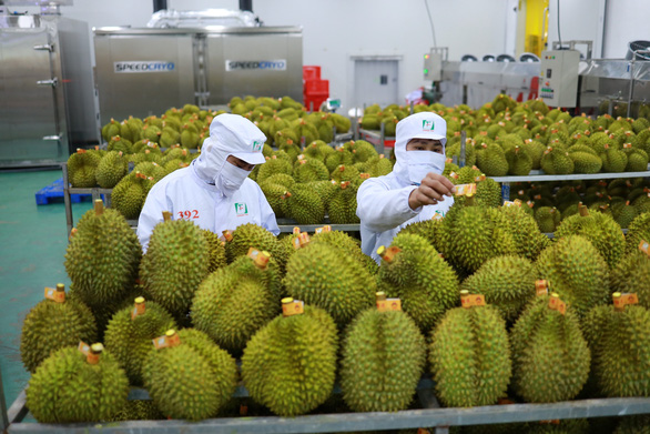 Doanh nhân Trung Quốc mách nước 5 bí quyết để xuất khẩu trái cây Việt Nam vượt qua Thái Lan - Ảnh 1.