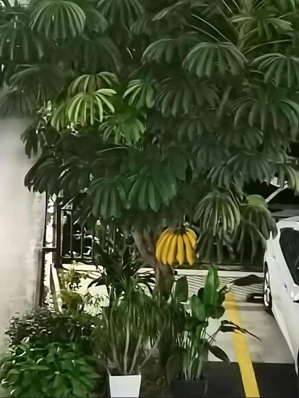 Ảnh vui 24-11: Vợ đẻ nên khuyến mãi trà sữa nha bà con! - Ảnh 2. Ảnh vui 24-11: Vợ đẻ nên khuyến mãi trà sữa nha bà con! - Ảnh 2.