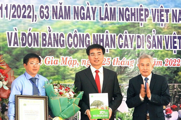 Vườn quốc gia Bù Gia Mập có 39 cây cổ thụ được công nhận Cây di sản Việt Nam - Ảnh 2.