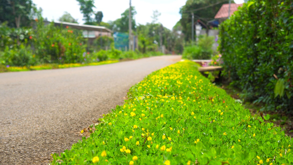 Vùng Đông Nam Bộ phải lấy người dân làm chủ thể của sự phát triển - Ảnh 4.