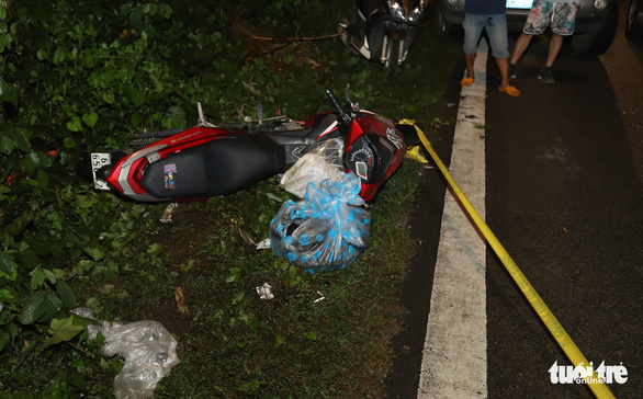 Cán chết 2 người trên đèo Bảo Lộc, tài xế vẫn lái xe tải đi giao hàng - Ảnh 2.