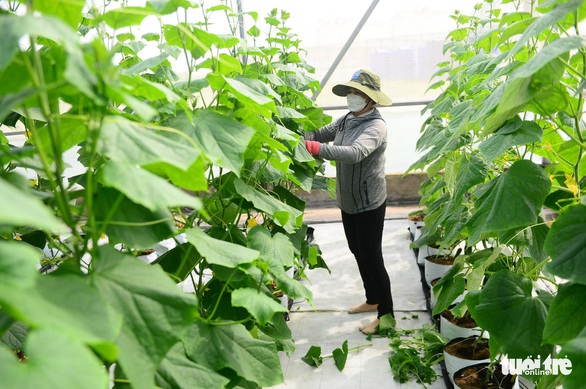 Tin sáng 9-11: Cảnh báo triều cường ven biển Nam Bộ; Mua bán nhà, căn hộ giảm mạnh - Ảnh 3. Tin sáng 9-11: Cảnh báo triều cường ven biển Nam Bộ; Mua bán nhà, căn hộ giảm mạnh - Ảnh 3.
