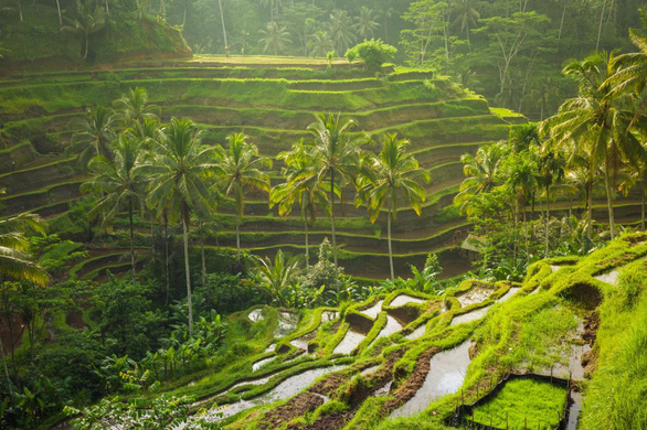 Bali - Thiên đường du lịch mang đậm bản sắc văn hóa Hindu - Ảnh 5.