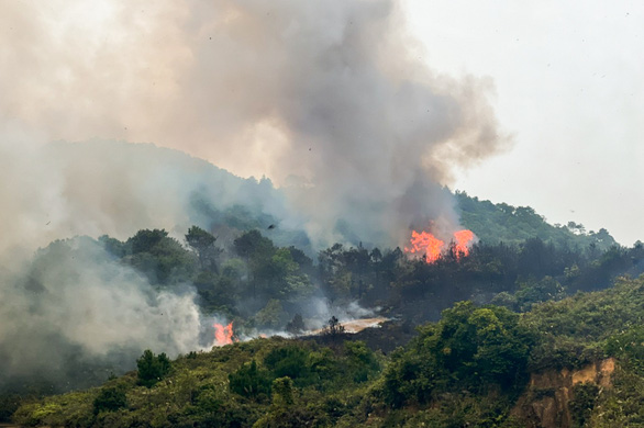 Cháy rừng ở Móng Cái: Gần 6ha rừng thông, keo bị thiêu rụi - Ảnh 1.