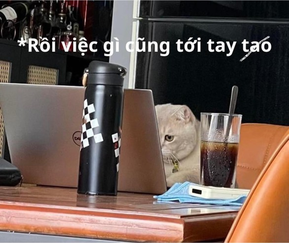 Ảnh vui 23-12: Đang yên đang lành tự dưng... Tết đến rồi!!! - Ảnh 4. Ảnh vui 23-12: Đang yên đang lành tự dưng... Tết đến rồi!!! - Ảnh 4.